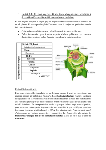 Apuntsbotanicaacabatss.pdf