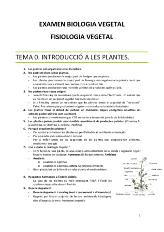 BIOLOGIAVEGETALFISIOLOGIAVEGETAL.pdf