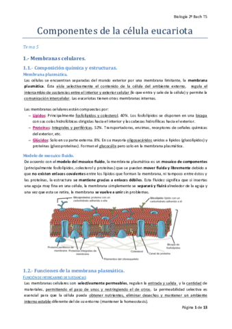 T5-Componentes-de-la-celula-eucariota.pdf