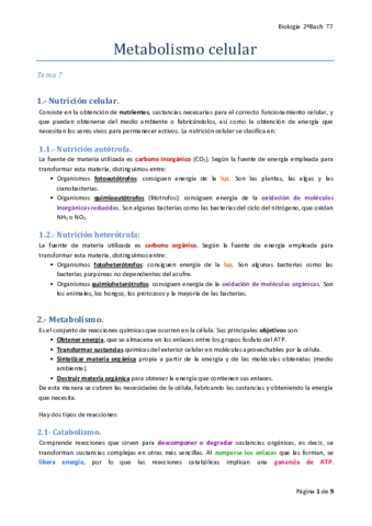 T7-Metabolismo-celular.pdf