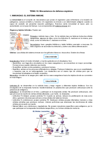 T16-Inmunologia.pdf
