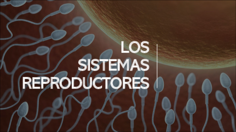 TEMA-10-LOS-SISTEMAS-REPRODUCTORES.pdf