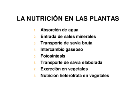 13-LA-NUTRICION-EN-LAS-PLANTAS.pdf