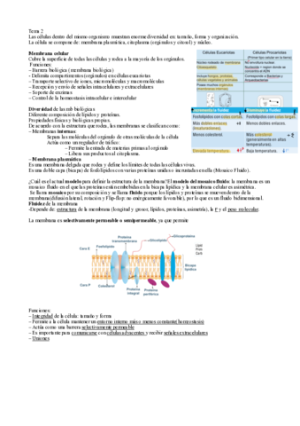 T2-Membrana-y-transporte.pdf