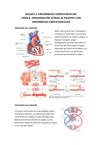 CARDIOVASCULAR.pdf