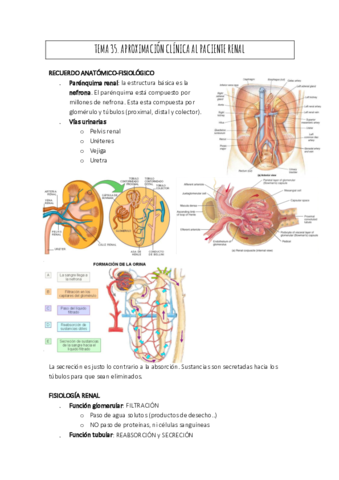 RENAL.pdf