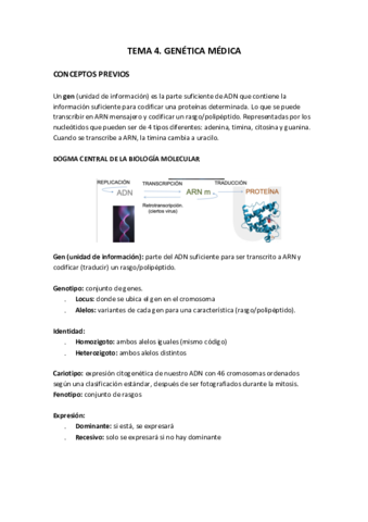 TEMA-4.pdf