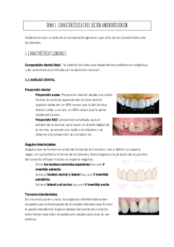 TEMA-1.pdf
