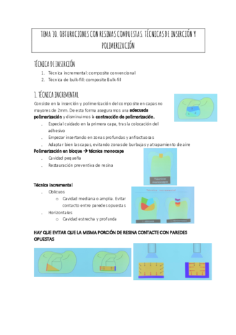 TEMA-10.pdf