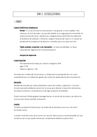 TEMA-11.pdf