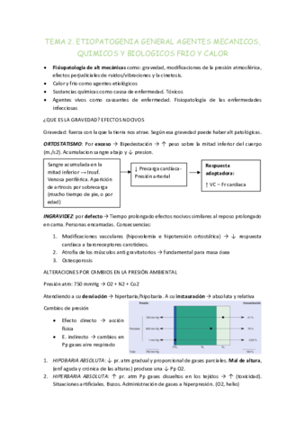 TEMA-2.pdf