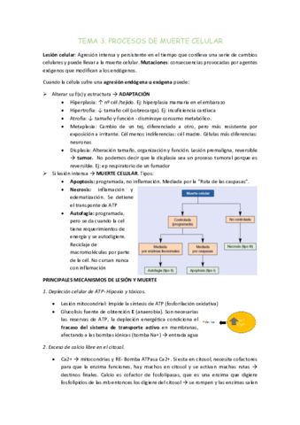 TEMA-3.pdf