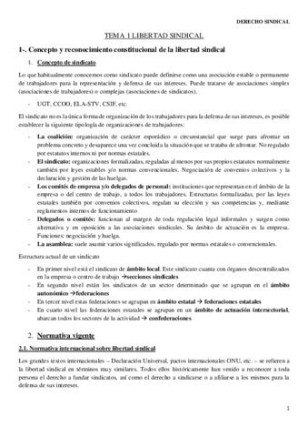 Temario-completo-Derecho-Sindical.pdf