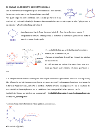 TEMA-15-wuolah-7.pdf