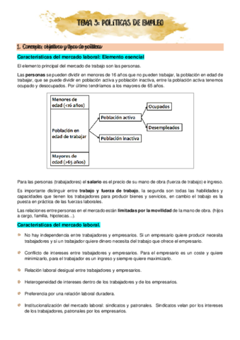Tema-3-PDF.pdf