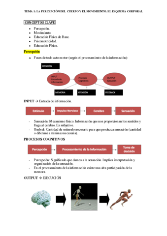 RESUMEN-TEMA-1-PERCEPCION-MOVIMIENTO-Y-EXPRESION-CORPORAL.pdf