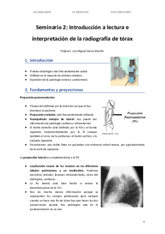 Seminario-2-NEUMO.pdf