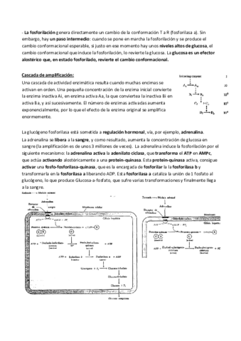 Tema-6.pdf