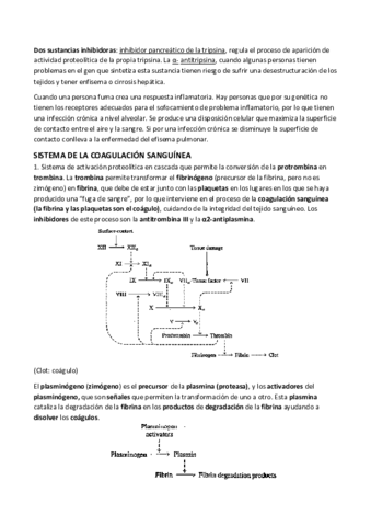 Tema-6.pdf