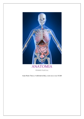 apuntes-Ivana-primer-parcial-anatomia.pdf
