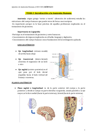 APUNTES-COMPLETOS-Anatomia-Humana.pdf