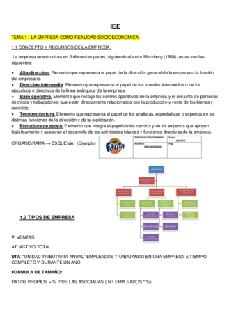 resumen-y-actividades-IEE.pdf