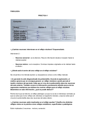 Practica-1-2-y-3.pdf