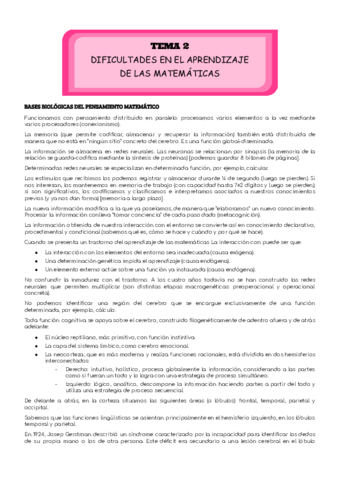 Discalculia-T2.pdf