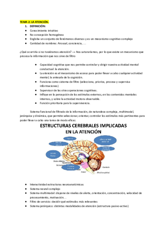 TEMA-2-LA-ATENCION.pdf