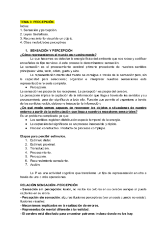 TEMA-3-PERCEPCION.pdf