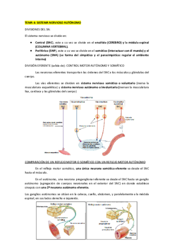 TEMA-4-FH.pdf