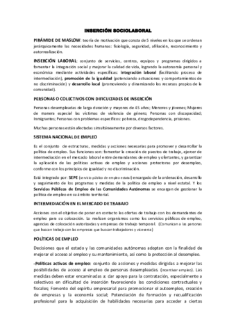 APUNTES-INSERCION-SOCIOLABORAL.pdf