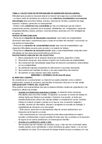 INSERCION-SOCIOLABORAL-1.pdf