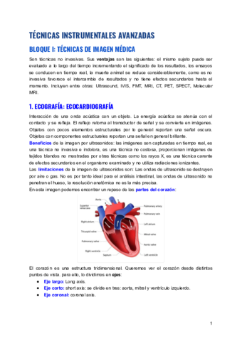 TECNICAS-INSTRUMENTALES-AVANZADAS.pdf