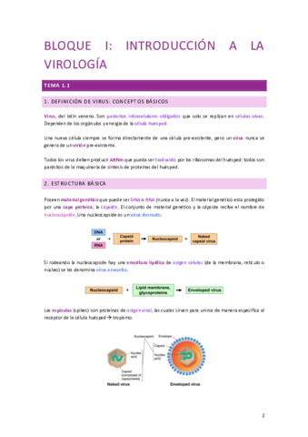 virologia-1.pdf