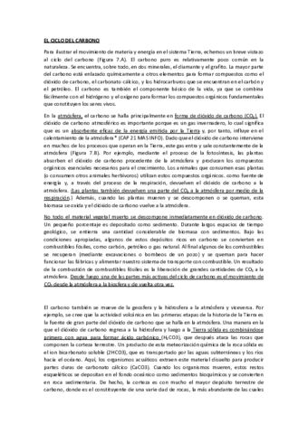 EL-CICLO-DEL-CARBONO.pdf