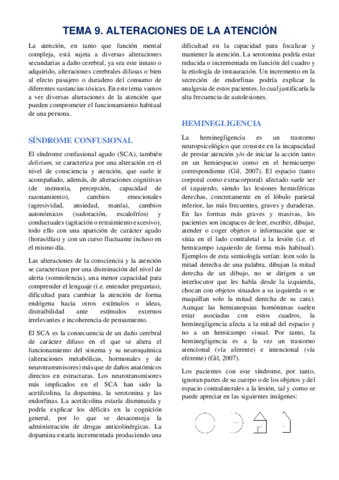 TEMA-9-ATENCION.pdf