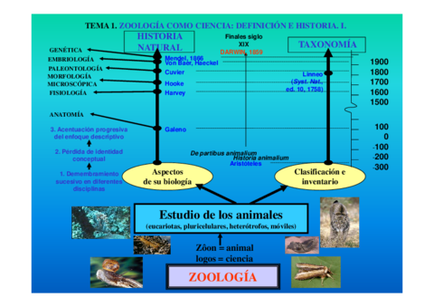 Tema1-Zoologia-Definicion-Aplicaciones.pdf