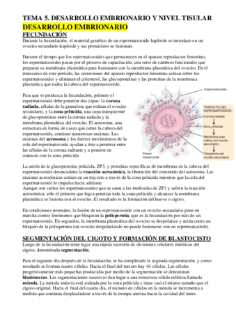 ECH-TEMA-5-EMBRIONARIO-Y-TEJIDOS.pdf