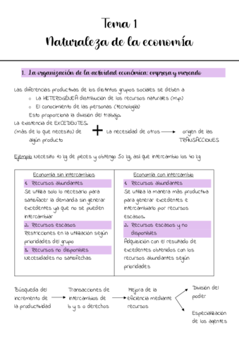 Tema-1.pdf