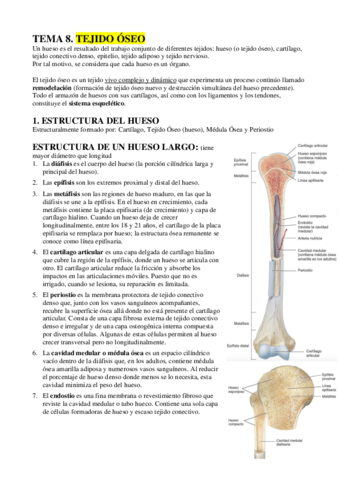 ECH-TEMA-8-SISTEMA-ESQUELETICO.pdf