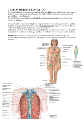 ECH-TEMA-10-SISTEMA-LINFATICO.pdf