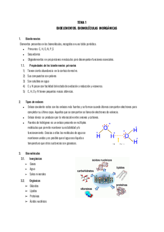 BIOMOLECULAS (BIO).pdf