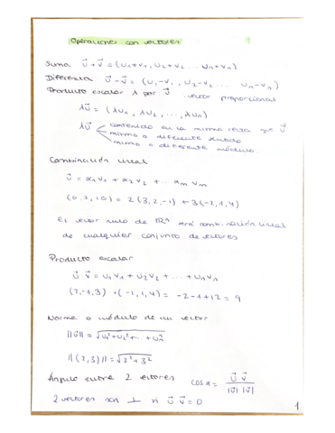 ALG-TEMAS-1-2.pdf