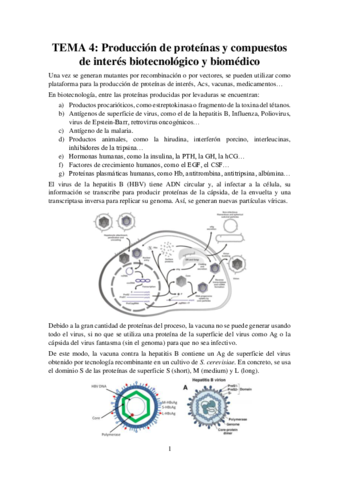 Tema-4-Apuntes-Genetica.pdf