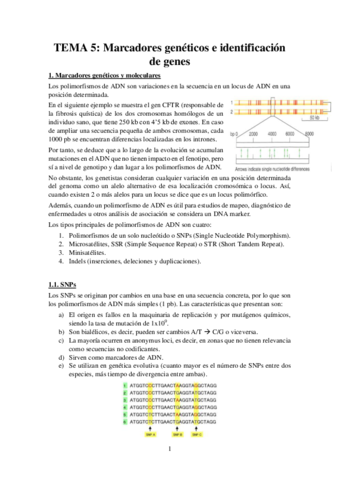 Tema-5-Apuntes-Genetica.pdf