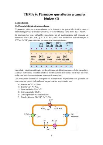 Tema-6-Apuntes-Farma.pdf