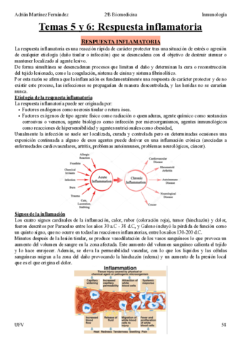 Tema-5-y-6.pdf