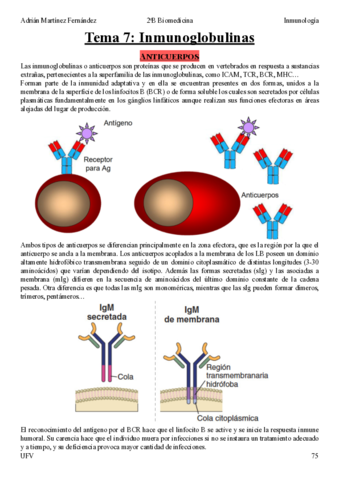 Tema-7.pdf