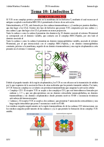 Tema-10.pdf